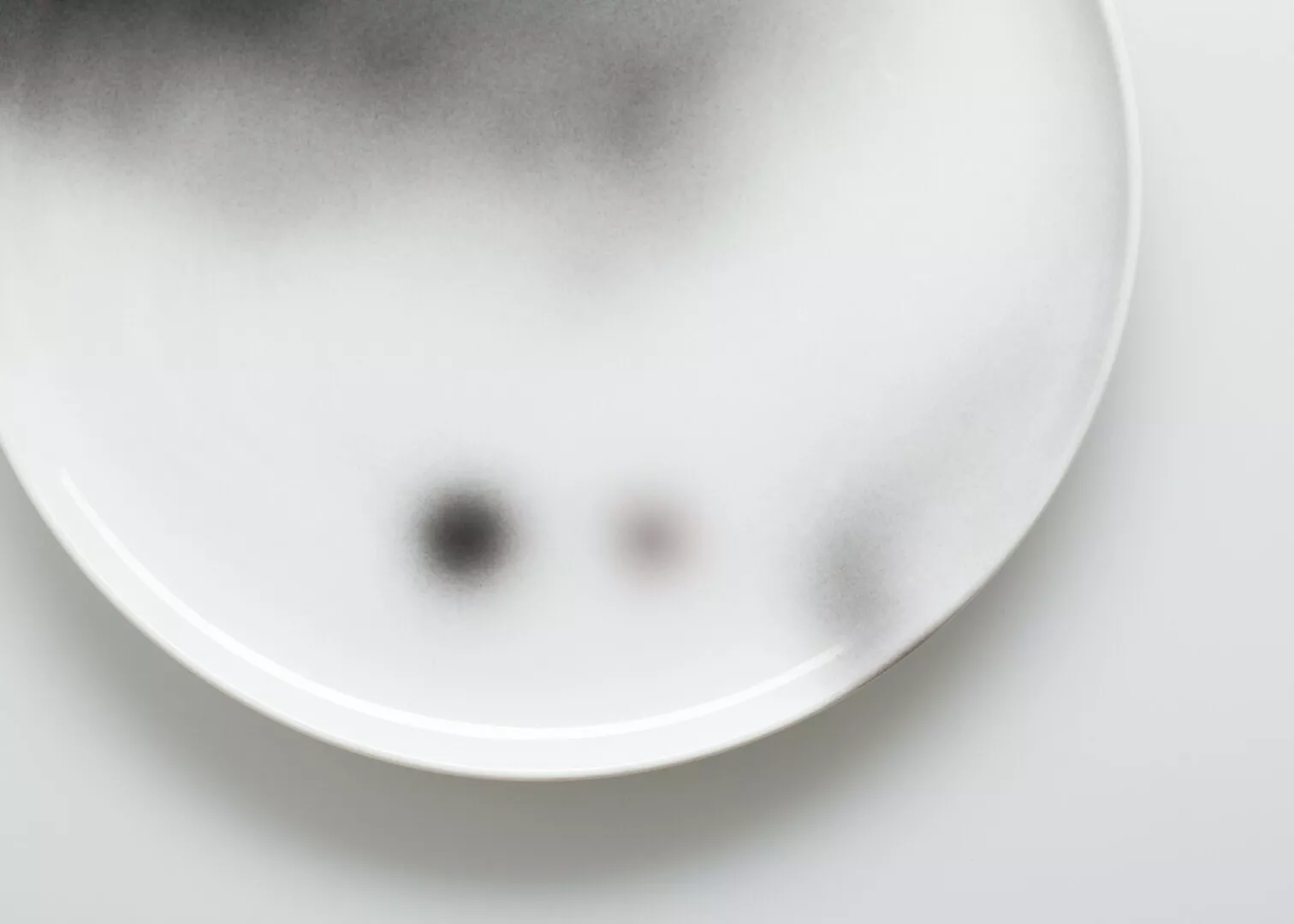 White plate with subtle gradient and shadow details.