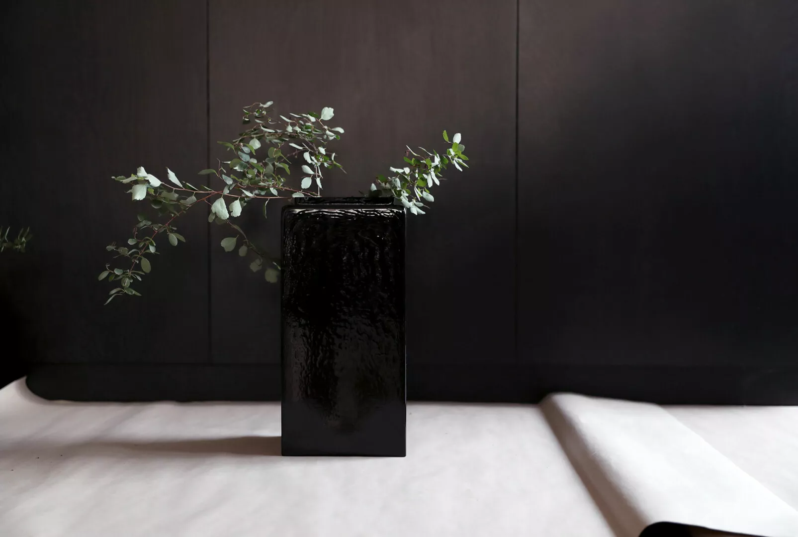 Eucalyptus branches in sleek black vase on dark background.